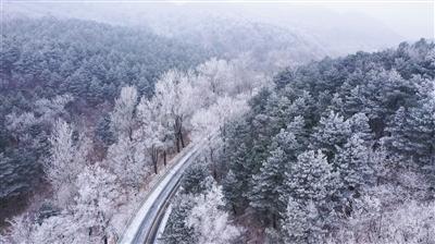 日销10万只的汤团店焕新开业！新春定制“其乐龙龙”哈嗲